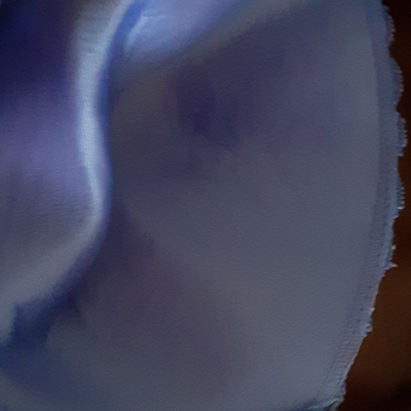 Bra - Picture 4 of 5